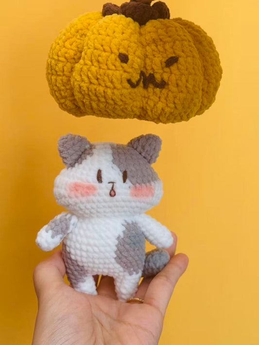 Pumpkin Meow🎃🐱