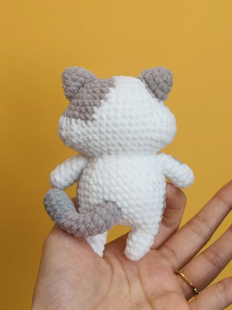 Pumpkin Meow🎃🐱