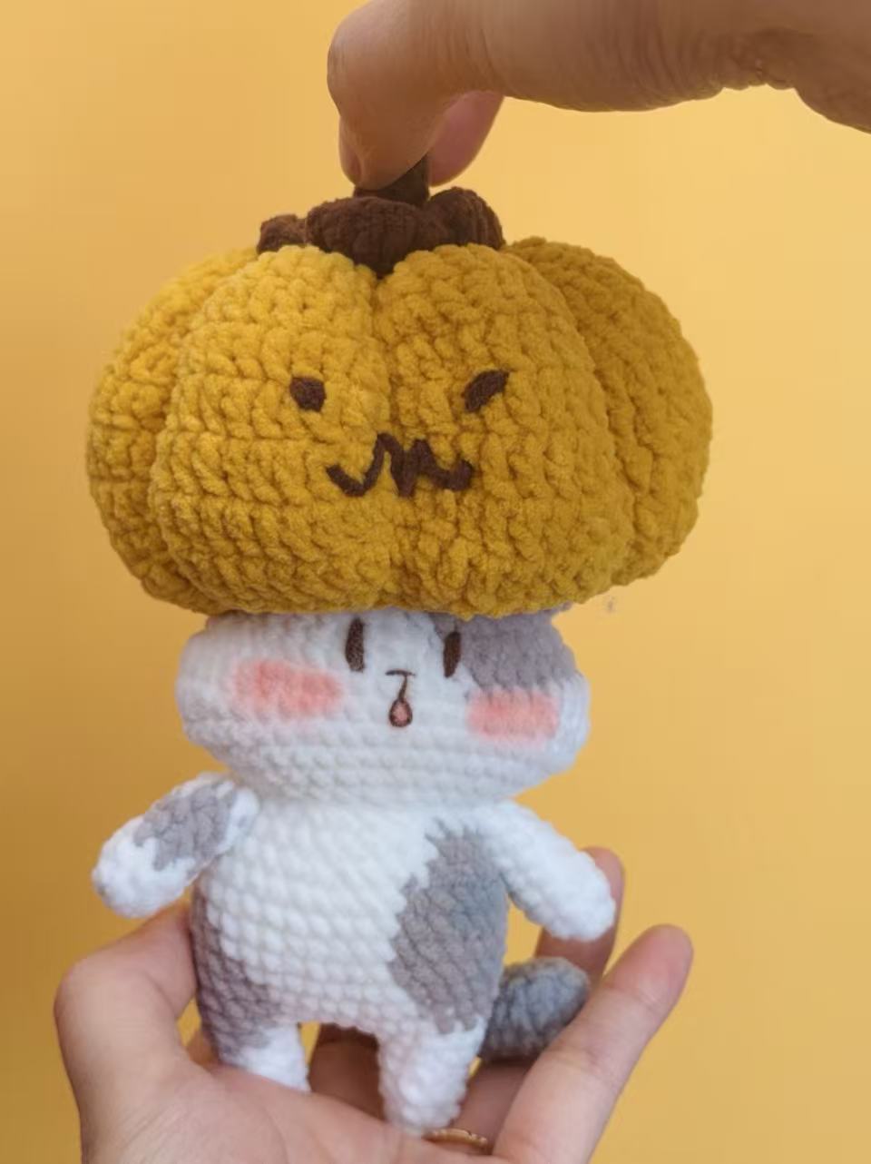 Pumpkin Meow🎃🐱